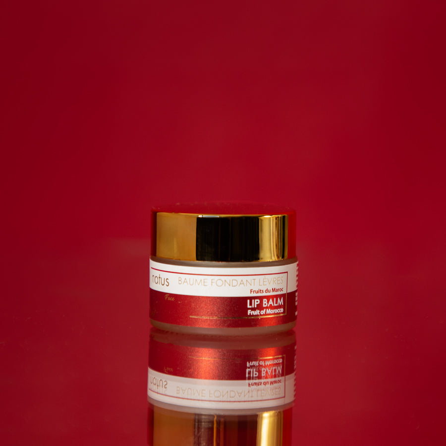BAUME FONDANT LEVRES - 15ml Argan &amp; Beurre de Karité