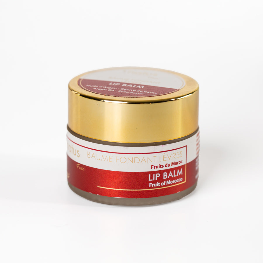 BAUME FONDANT LEVRES - 15ml Argan &amp; Beurre de Karité