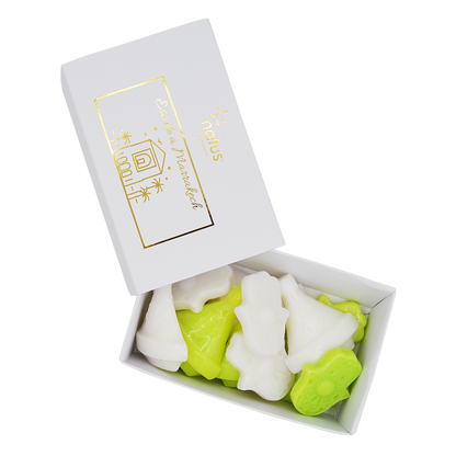Boite à Savon - Escale à Marrakech 150g
