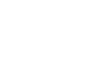 Payment Supplement - Ecommerce